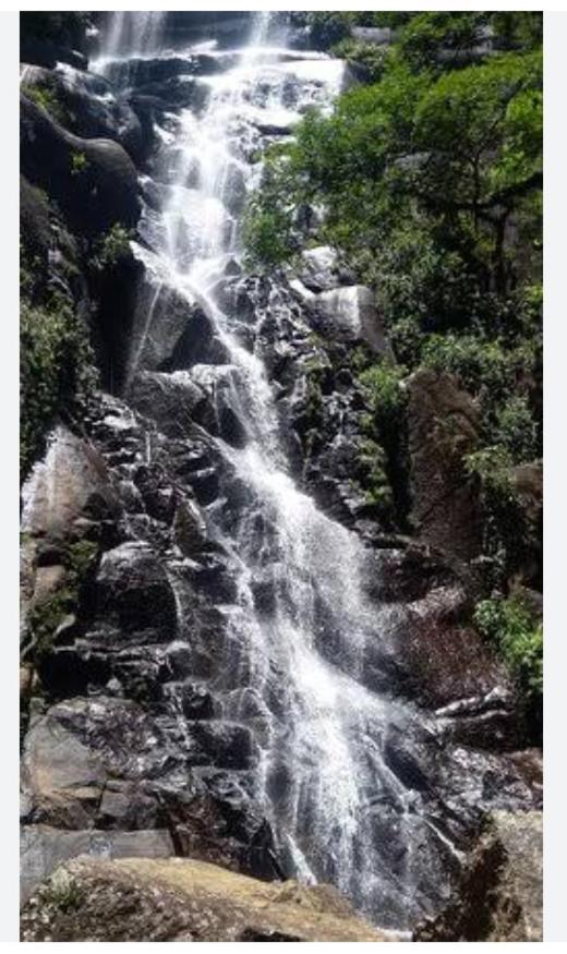 Suite Ninho Do Sabia Ilhabela Exterior foto